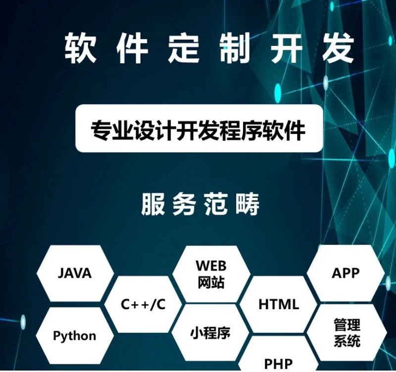 软件定制开发:构建独一无二的企业助手